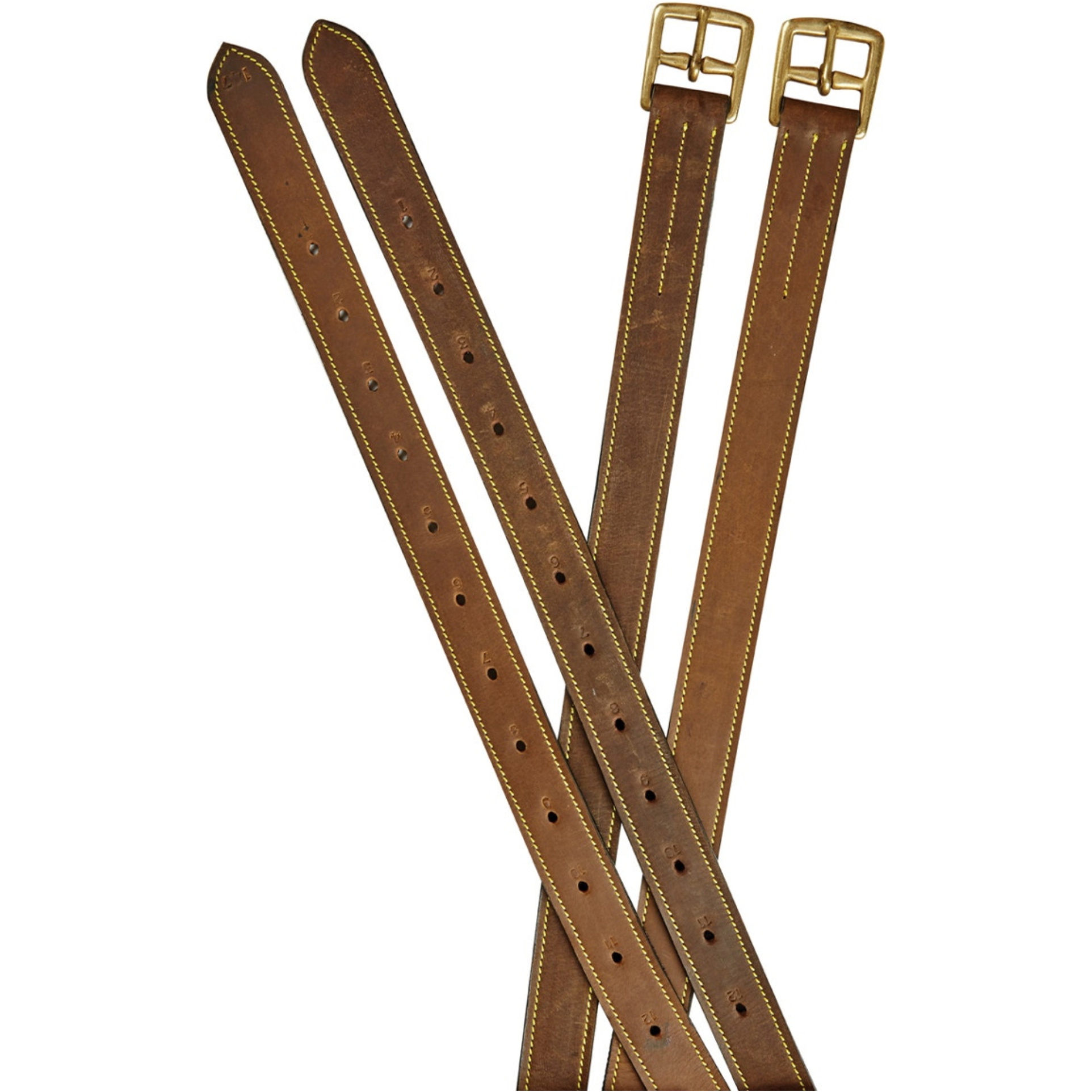 2026 Dublin Web Back Stirrup Leathers 1031536 - Brown